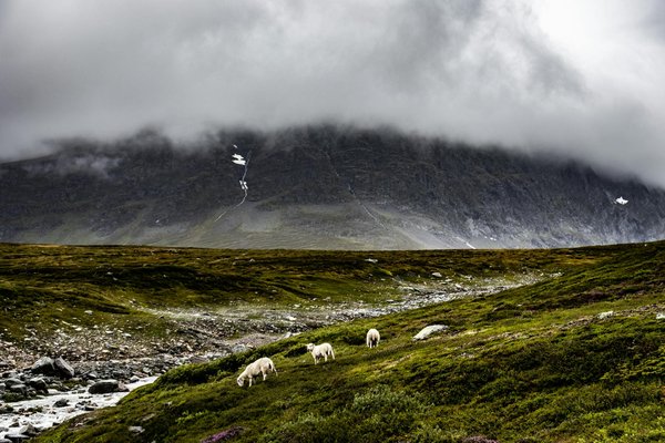 Camping Lacroixdesanglais