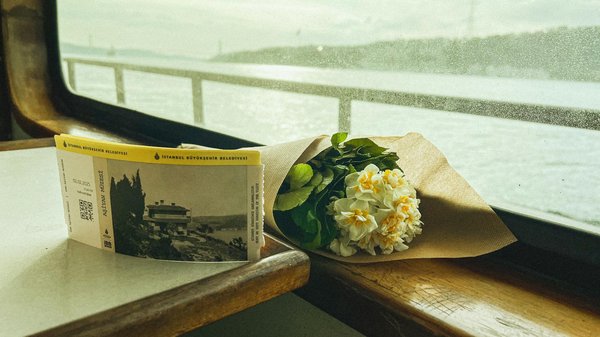 Découvrez le beneteau antares 11 : confort et performance en mer